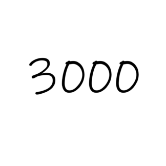ALLAR VÖRUR Á 3.000.-